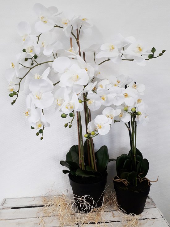 Leaf Design UK Realistische Kunstmatige Orchidee Bloem Display