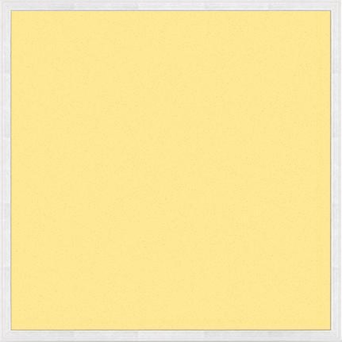 Varnalux 2st. Varnalux Basic LED Backlit Paneel - 60x60 cm - 40W - 3000K - 100 lm/W - EU Stekker Wit