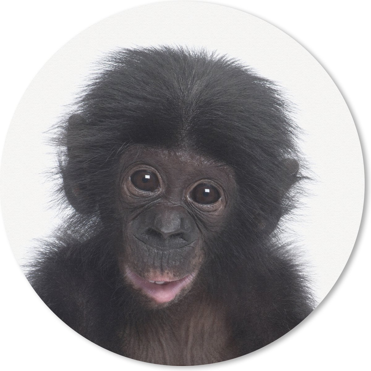 Muismat Animalprintshop - Chimpansee - Portret dierenprint Muismat rond - 20x20 cm - Muismat met foto