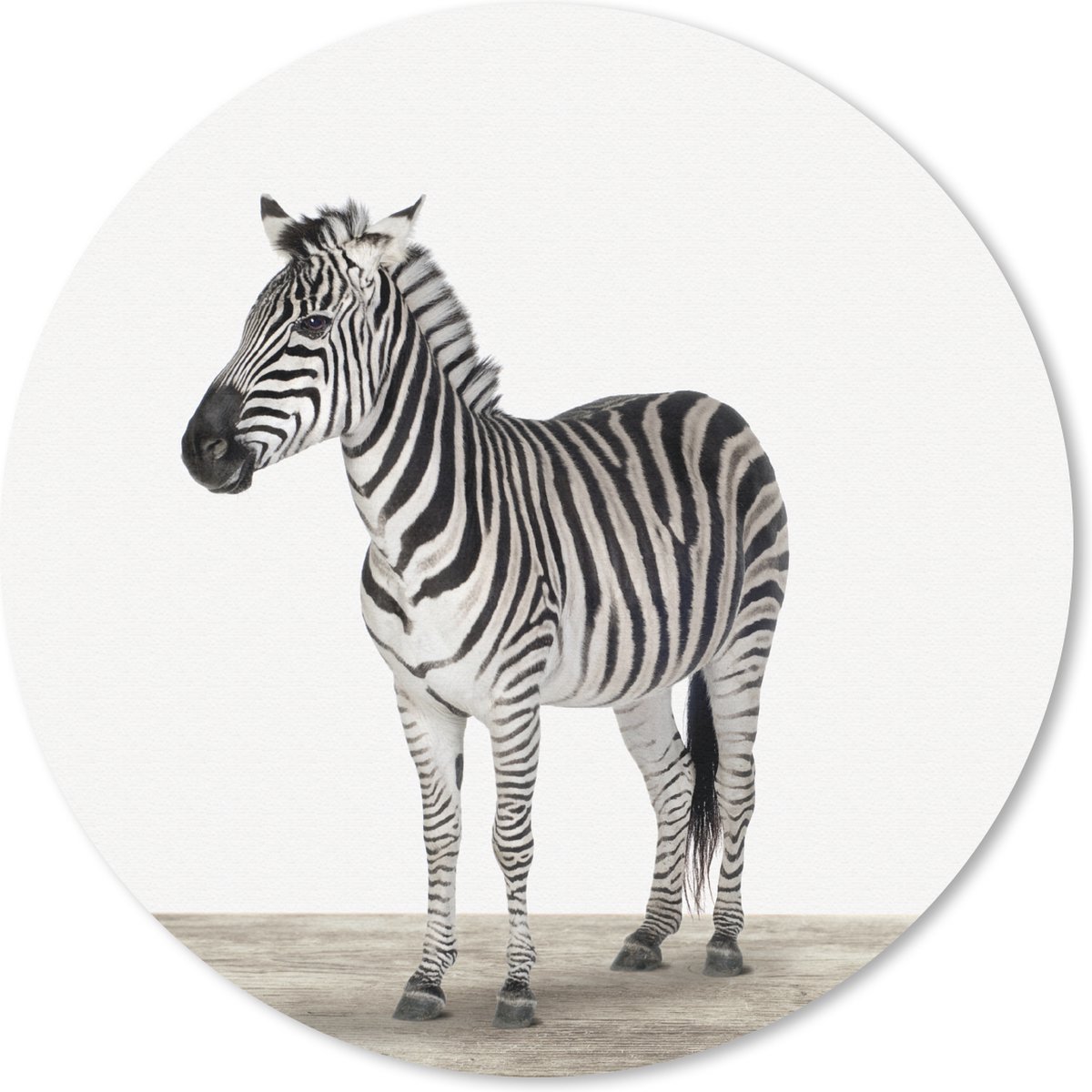 Muismat Animalprintshop - Zebra dierenprint Muismat rond - 20x20 cm - Muismat met foto