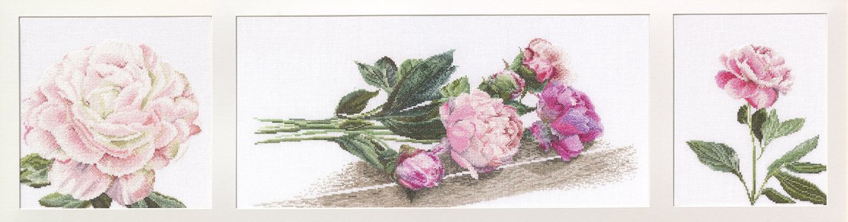 Thea Gouverneur - Borduurpakket met telpatroon - 433A - Voorgesorteerde DMC Garens - Pioenrozen - Aida - 82 cm x 20 cm - DIY Kit