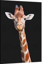 Giraffe op zwarte achtergrond - Foto op Canvas - 45 x 60 cm