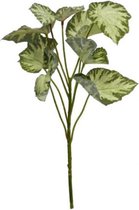 Medina Kunstplant Begonia Rex 45 Cm Zijde Groen/Wit