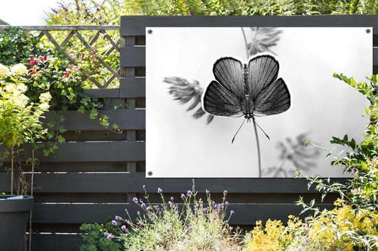 Affiche jardin - Toile jardin - Posters de jardin extérieur - Papillon bleu - noir et blanc - 120x80 cm - Jardin