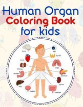 Human Organ Coloring Book For Kids