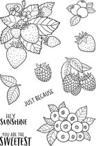Berries Clear Stamps (JD075) (DISCONTINUED)