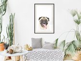 Poster - Funny Pug-40x60