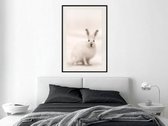 Artgeist - Schilderij - Curious Rabbit - Multicolor - 40 X 60 Cm
