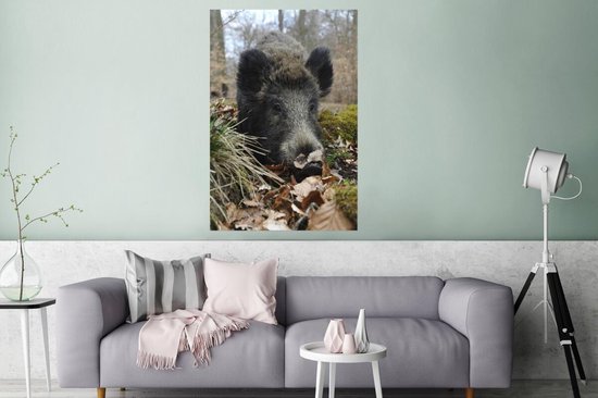 Le sanglier se trouve dans la forêt 120x180 cm XXL / Groot format!