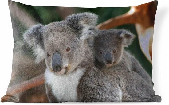 Buitenkussens - Tuin - Een koala vader en zoon - 60x40 cm