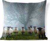 Coussins d'extérieur - Jardin - Troupeau de moutons dans la brume - 60x60 cm