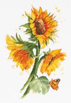 PANNA Borduurpakket Heldere zonnebloemen C-7136 - Kruissteek - Borduren voor volwassenen - Aida