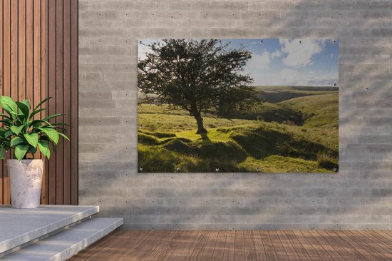 Arbre d'aubépine solitaire dans le parc national d'Exmoor en Angleterre Poster de jardin 180x120 cm - Toile de jardin / Peintures extérieur / Peintures d'extérieur (décoration de jardin) XXL / Groot format!