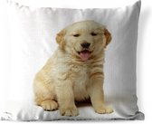 Buitenkussens - Tuin - Portretfoto van een donzige Golden Retriever-puppy - 45x45 cm