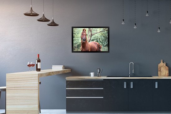 Photo encadrée - Un cheval Kathiawari dans le cadre photo nature boisé noir 60x40 cm - Affiche encadrée (Décoration murale salon / chambre)