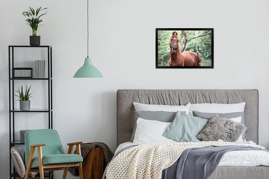 Photo encadrée - Un cheval Kathiawari dans le cadre photo nature boisé noir 60x40 cm - Affiche encadrée (Décoration murale salon / chambre)