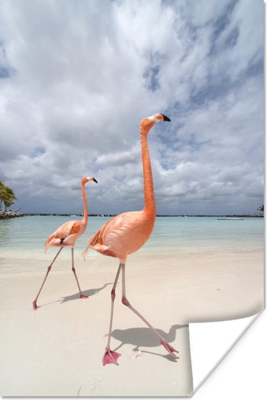 Poster Twee flamingo's op een eiland in Aruba - 80x120 cm