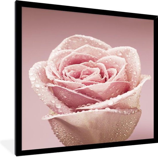 Photo encadrée - Rosée précoce sur un cadre photo rose rose noir 30x40 cm - Affiche encadrée (Décoration murale salon / chambre)