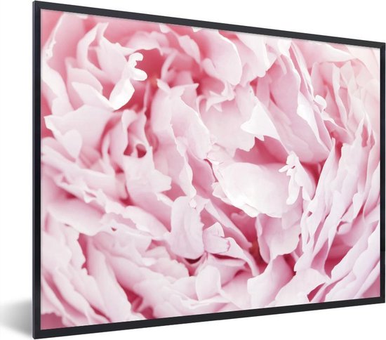 Photo encadrée - Gros plan de l'intérieur d'un cadre photo pivoine rose noir 40x30 cm - Affiche encadrée (Décoration murale salon / chambre)