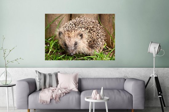 Poster Hérisson devant fond bois papier 180x120 cm - Tirage photo sur Poster (décoration murale salon / chambre) / Poster Animaux sauvages XXL / Groot format!