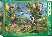 Eurographics Garden Birds - Joahn Francis (1000)
