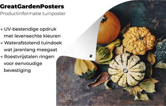 Affiche de jardin Citrouilles sur fond rouillé - 120x90 cm