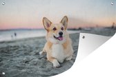 Muurdecoratie Hond op het strand - 180x120 cm - Tuinposter - Tuindoek - Buitenposter