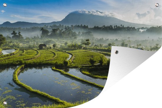 Zonsopkomst rijstveld Tirtagangga Bali Tuinposter 60x40 cm - Foto op Tuinposter (tuin decoratie)