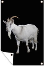 Muurdecoratie Witte geit op zwarte achtergrond - 120x180 cm - Tuinposter - Tuindoek - Buitenposter