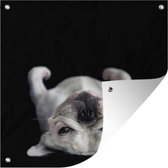Tuindoek Bulldog liggend op rug op zwarte achtergrond - 100x100 cm
