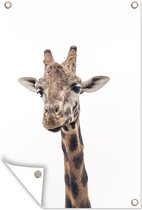 Muurdecoratie Giraffe voor witte achtergrond - 120x180 cm - Tuinposter - Tuindoek - Buitenposter