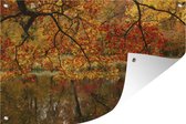 Tuinposter - Tuindoek - Tuinposters buiten - Het Nationaal park Kejimkujik in Noord-Amerika in de herfst - 120x80 cm - Tuin