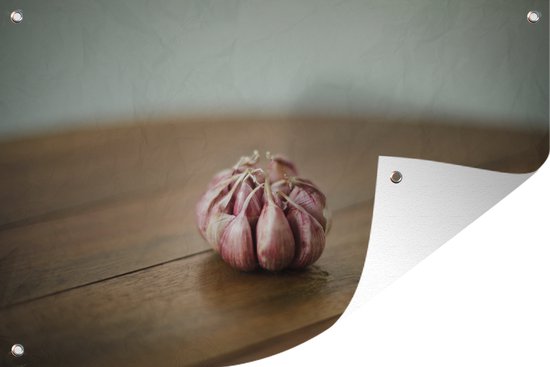 Tuindecoratie Een alleenstaande knoflook of Allium sativum op tafel - 60x40 cm - Tuinposter - Tuindoek - Buitenposter