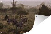 Foggy morning in the Kruger Park in South Afrique Garden poster 60x40 cm - small - Toile de jardin / Toile d'extérieur / Peintures pour l'extérieur (décoration de jardin)