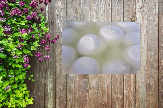 Mozzarella est immergé dans l'affiche de jardin d'eau 90x60 cm - Toile de jardin / Toile d'extérieur / Peintures pour l'extérieur (décoration de jardin)