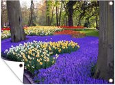 Tuinschilderij Bloemen in de Keukenhof in Zuid-Holland - 80x60 cm - Tuinposter - Tuindoek - Buitenposter