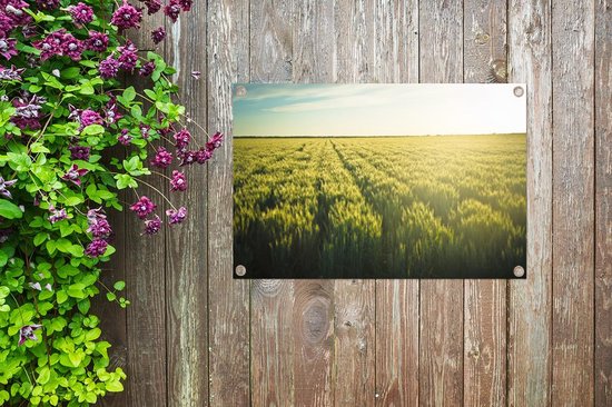 Tuinposter 90x60 cm - Tuindecoratie Landbouw in de vroege ochtend - Poster voor in de tuin - Buiten decoratie - Schutting tuinschilderij - Tuindoek muurdecoratie - Wanddecoratie balkondoek