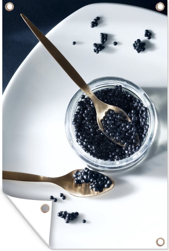 Caviar noir frais dans un bocal en verre avec une cuillère dorée affiche de  jardin... | bol
