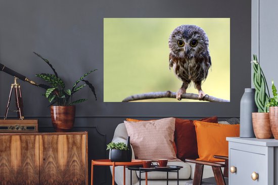 Stickers muraux - Hibou - Vogel - Forêt - 120x80 cm - Film adhésif