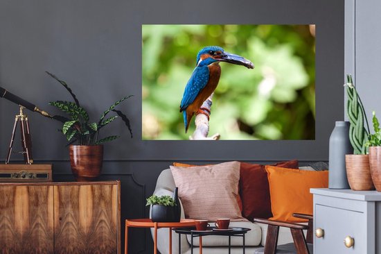 Sticker Muursticker Martin-pêcheur - Martin-pêcheur avec prise - 120x80 cm - film adhésif autocollant - sticker mural repositionnable