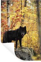Stickers Stickers muraux - Loup - Rocher - Arbre - 80x120 cm - Film adhésif