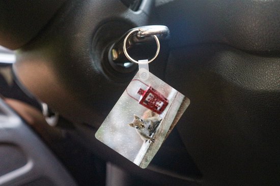 Porte-clés Écureuils en hiver - Un écureuil à la recherche de noix en hiver porte-clés en plastique - porte-clés rectangulaire avec photo