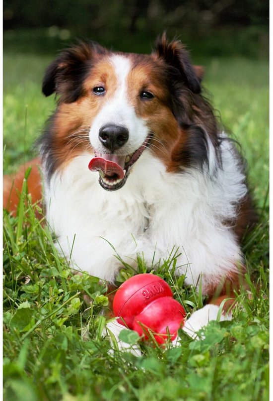 KONG Classic - Snackbal Honden Speelgoed - Rubber - 10.16cm - Rood - Maat L