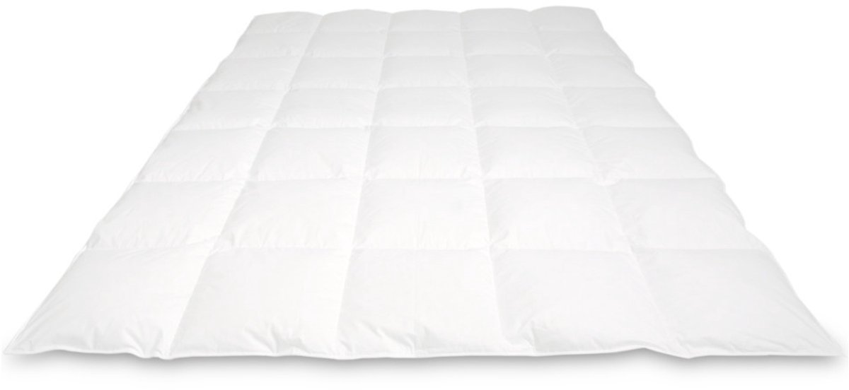 Cassenz REMBRANDT | donzen dekbed | 100% ganzendons | Herfst | warmteklasse 3 - 200/220cm - 600gr.