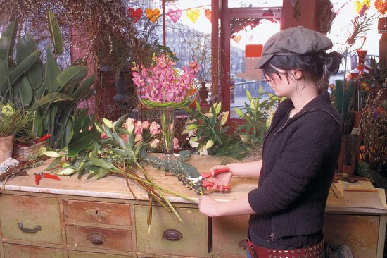 Felco 300 Snoeischaar - Precisie voor Bloemen, Fruit & Takken — afbeelding 4