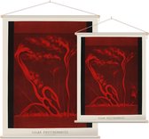 Solar Protuberances, Étienne Léopold Trouvelot - Foto op Textielposter - 60 x 80 cm