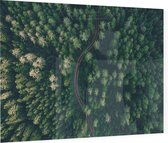 Droneshot van een bos - Foto op Plexiglas - 90 x 60 cm