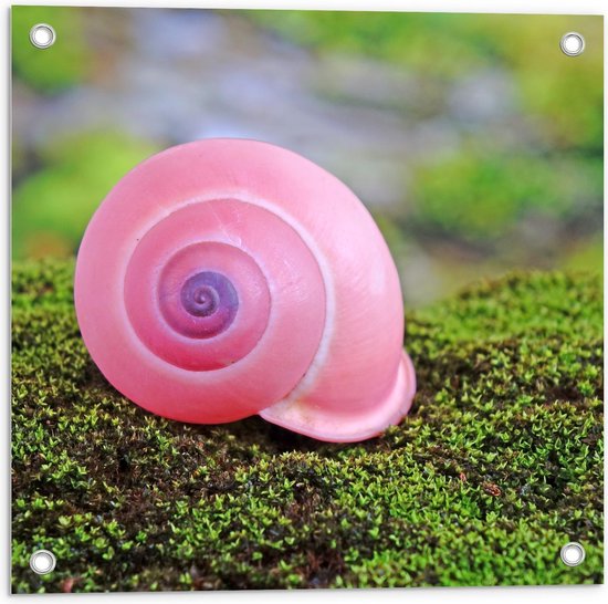Tuinposter - Roze Slak op Groen Mos - Foto op Tuinposter (wanddecoratie voor buiten en binnen)