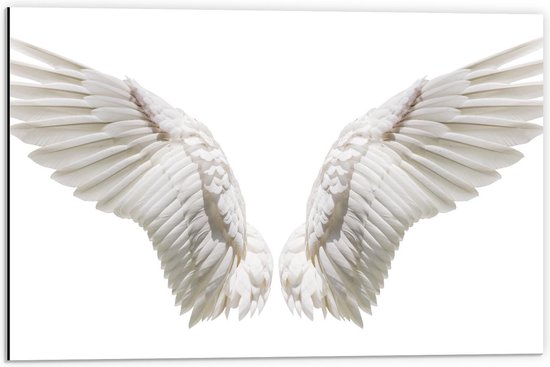 Dibond - Witte Engel Vleugels - 60x40cm Foto op Aluminium (Met Ophangsysteem)