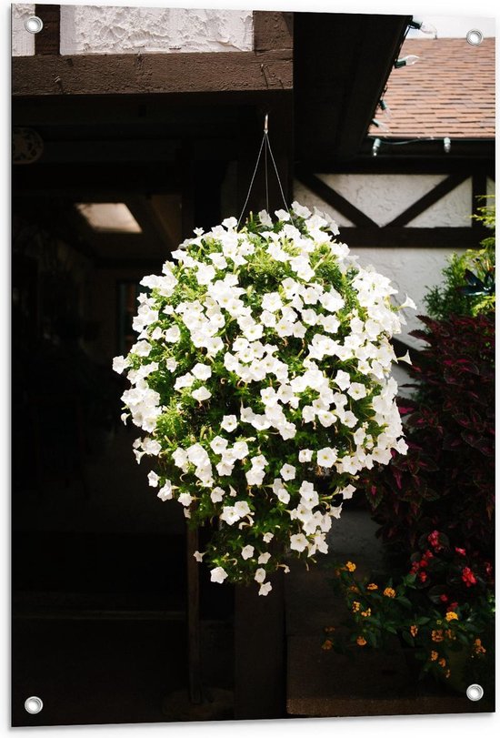 – Hangplant Witte Bloemetjes - 60x90cm Foto op Tuinposter ... | bol.com